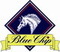 BLUE CHIP PONY NEWCOMERS SECOND ROUND AT THE HAND 